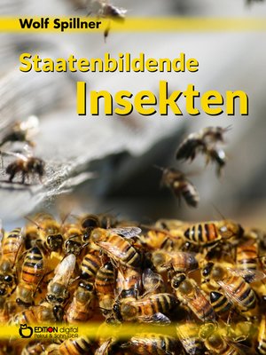 cover image of Staatenbildende Insekten